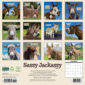 Willow Creek Press - 2026 Sassy Jackassy Calendar