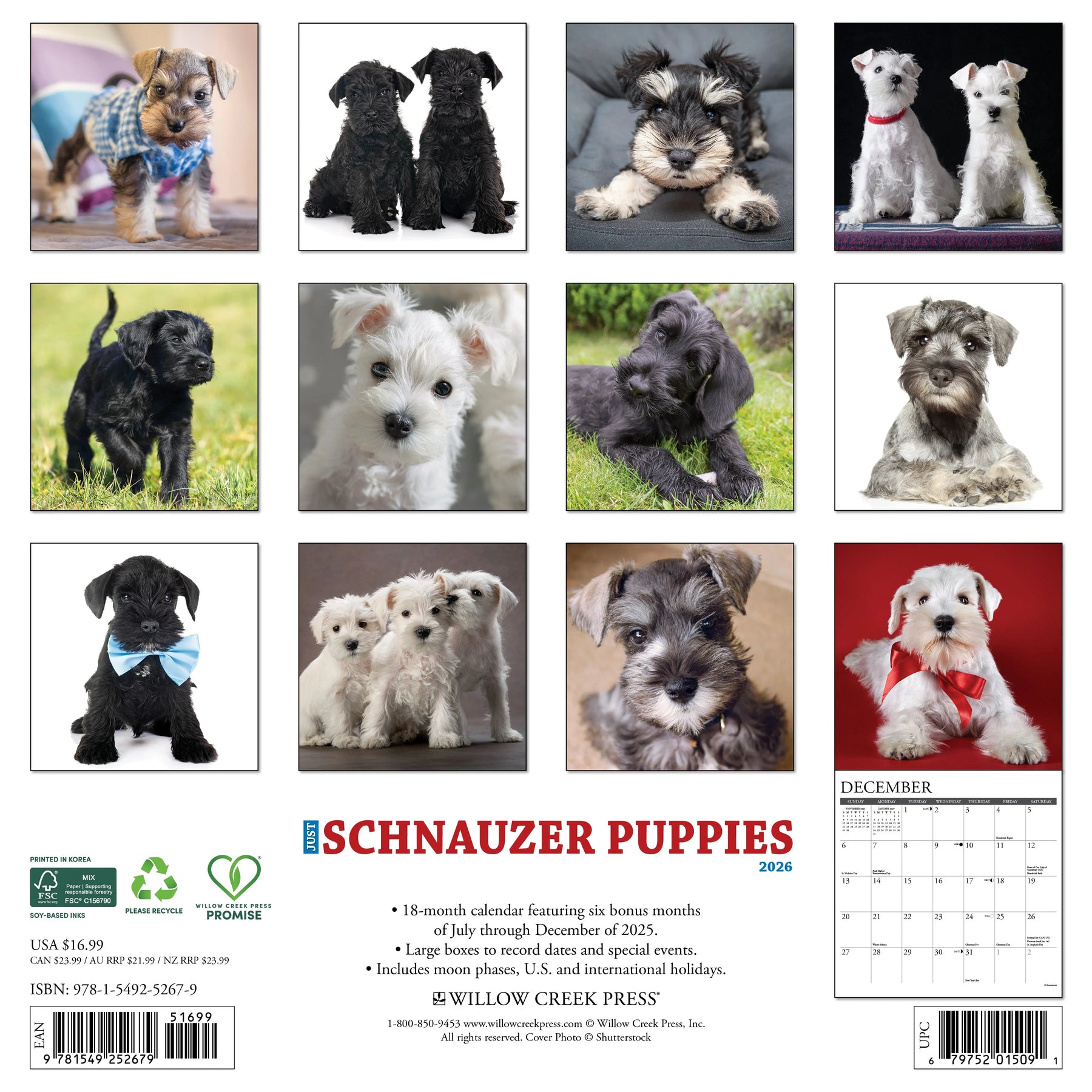 Willow Creek Press - 2026 Schnauzer Puppies Calendar
