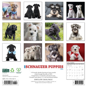 Willow Creek Press - 2026 Schnauzer Puppies Calendar