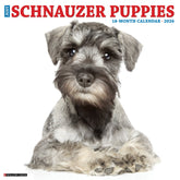Willow Creek Press - 2026 Schnauzer Puppies Calendar