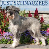 Willow Creek Press - 2026 Schnauzers Calendar