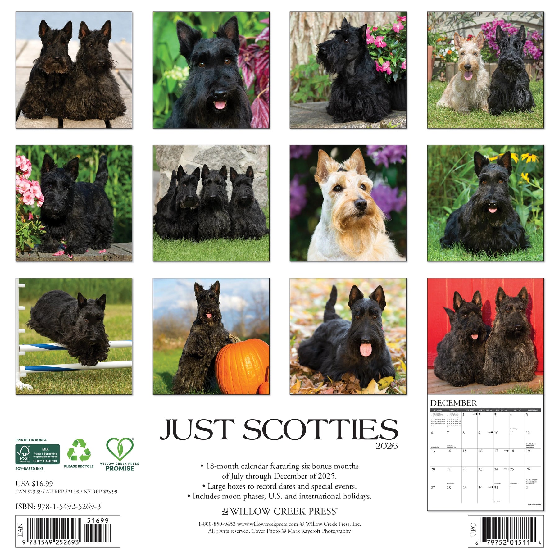 Willow Creek Press - 2026 Scotties Calendar