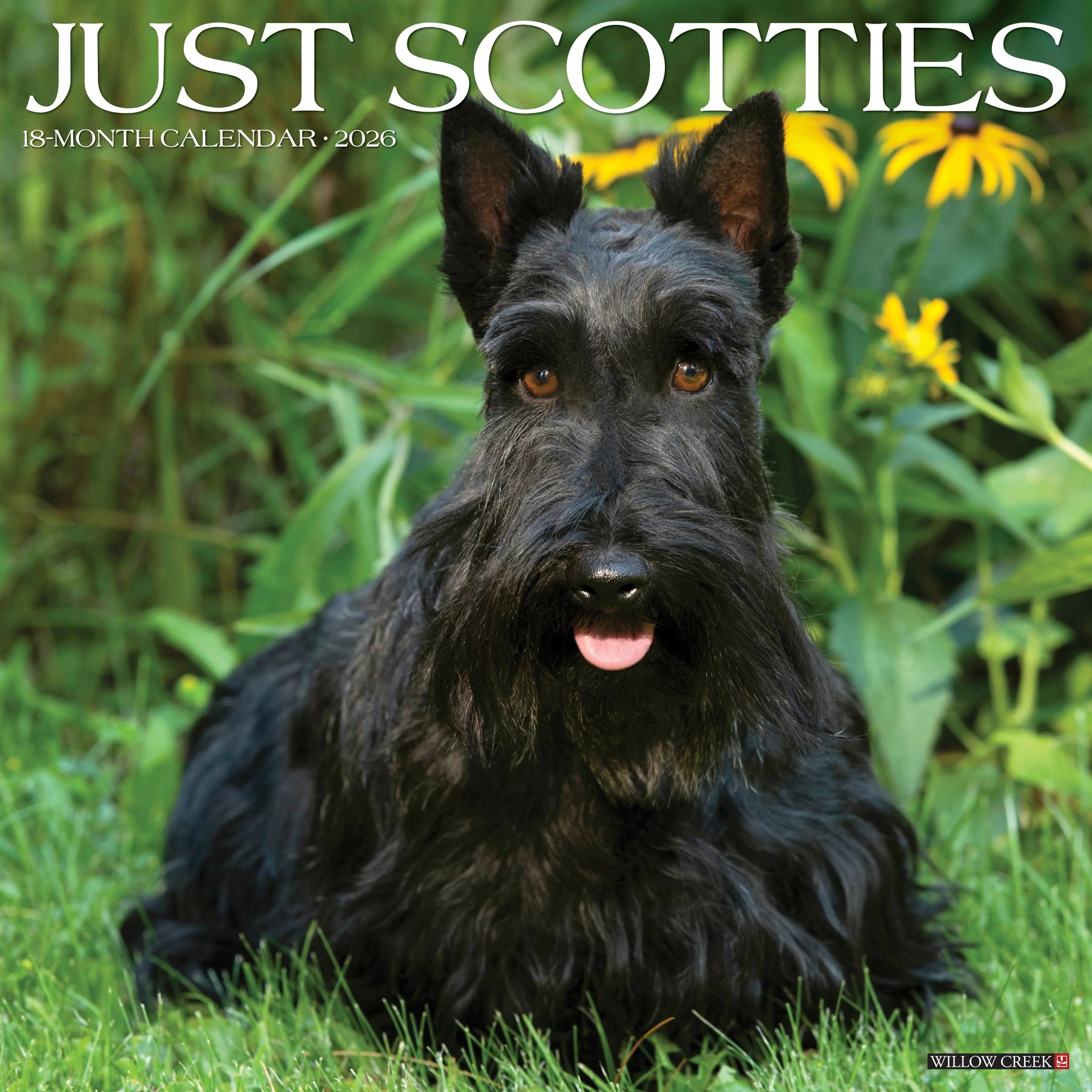 Willow Creek Press - 2026 Scotties Calendar