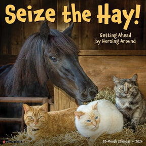 Willow Creek Press - 2026 Seize The Hay Calendar