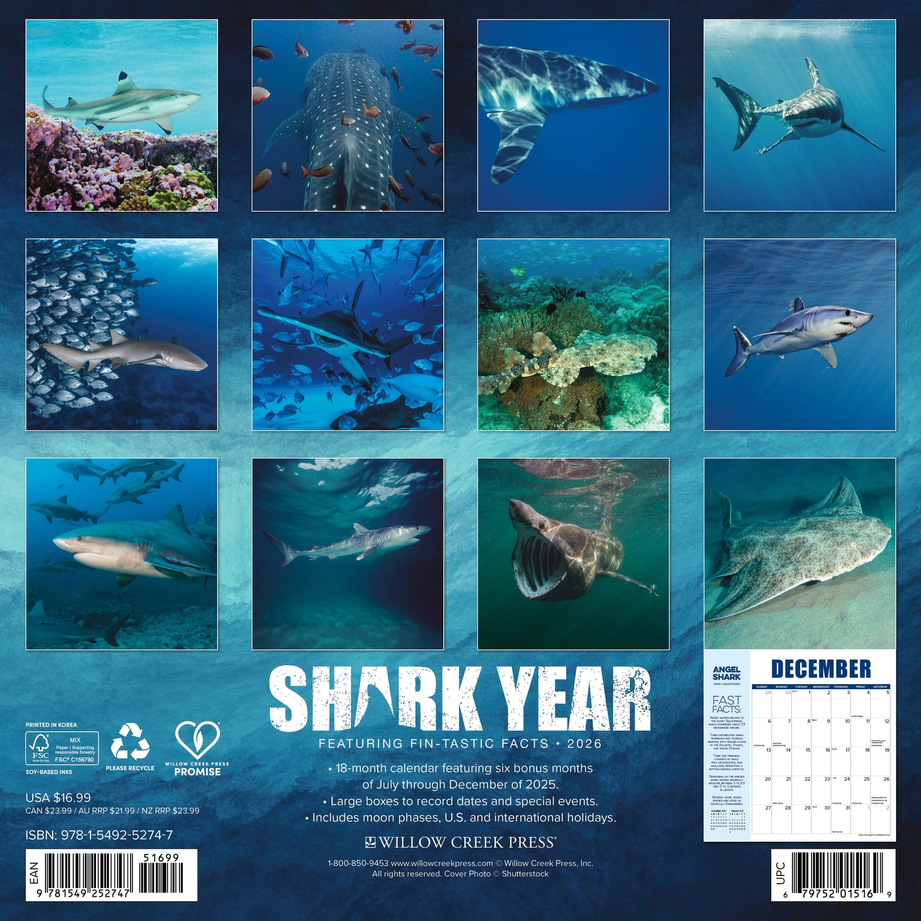 Willow Creek Press - 2026 Shark Year Calendar