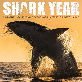 Willow Creek Press - 2026 Shark Year Calendar