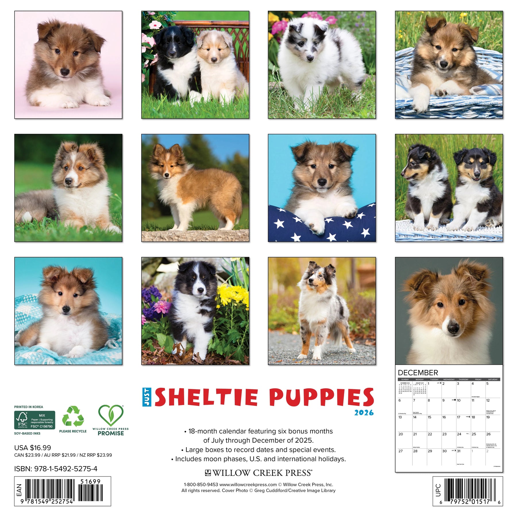 Willow Creek Press - 2026 Sheltie Puppies Calendar
