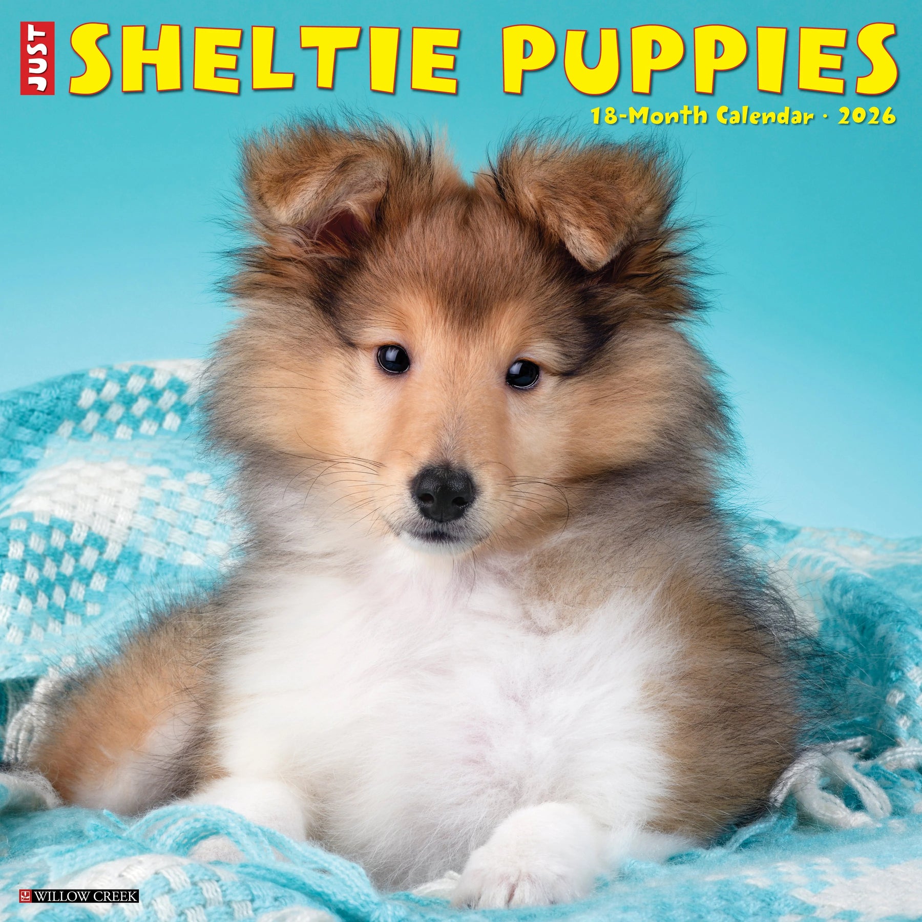 Willow Creek Press - 2026 Sheltie Puppies Calendar