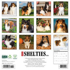 Willow Creek Press - 2026 Shelties Calendar