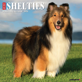 Willow Creek Press - 2026 Shelties Calendar