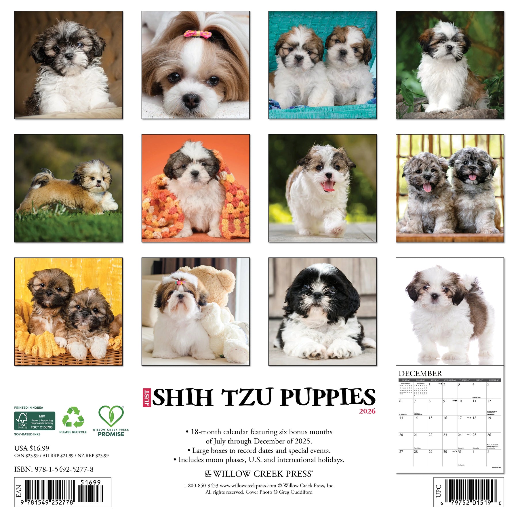 Willow Creek Press - 2026 Shih Tzu Puppies Calendar
