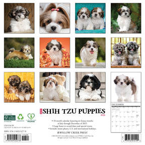 Willow Creek Press - 2026 Shih Tzu Puppies Calendar