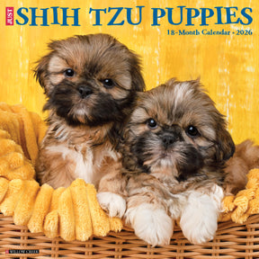 Willow Creek Press - 2026 Shih Tzu Puppies Calendar