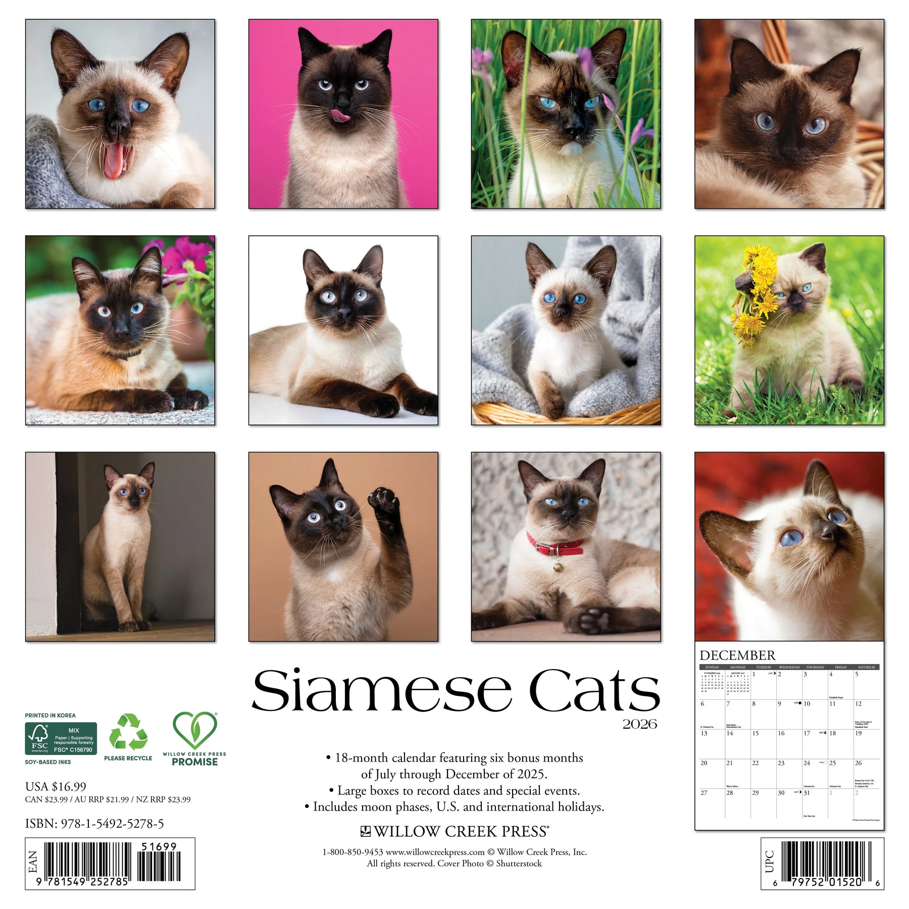 Willow Creek Press - 2026 Siamese Cats Calendar