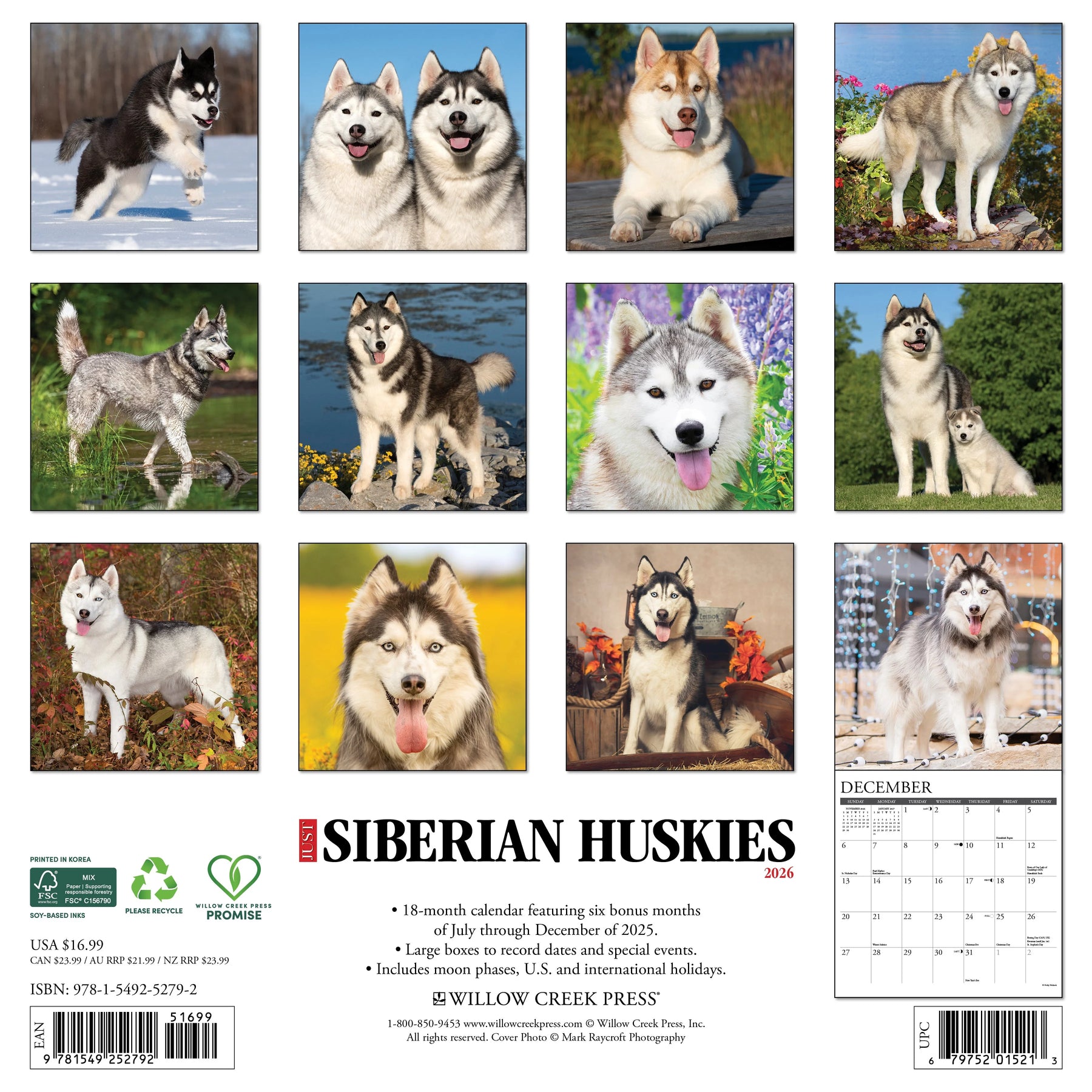 Willow Creek Press - 2026 Siberian Huskies Calendar