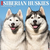 Willow Creek Press - 2026 Siberian Huskies Calendar