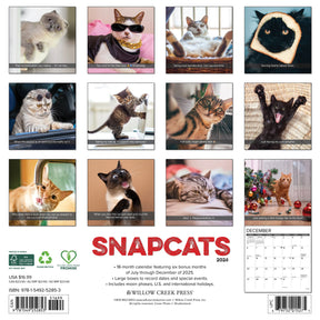 Willow Creek Press - 2026 Snapcats Calendar