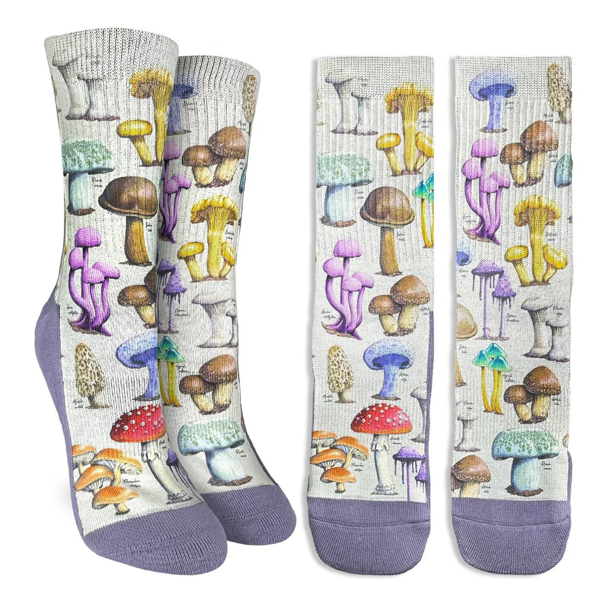 Good Luck Sock - Morphology Of Mushrooms