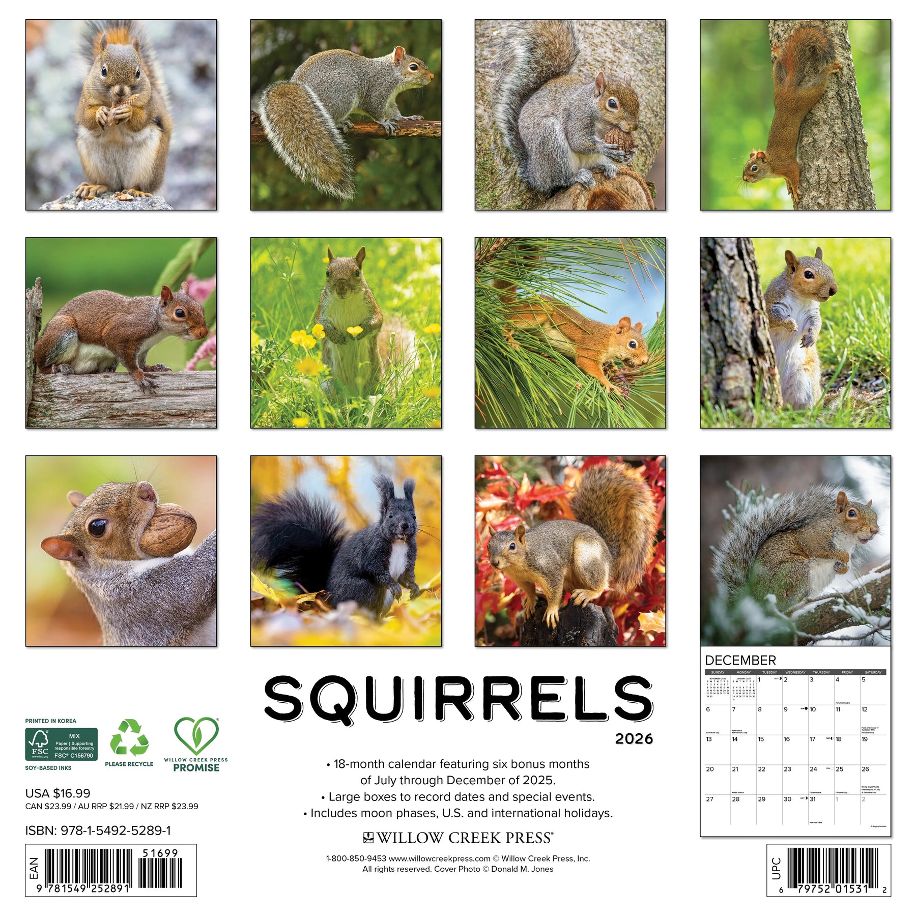 Willow Creek Press - 2026 Squirrels Calendar