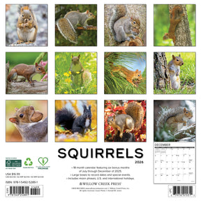 Willow Creek Press - 2026 Squirrels Calendar