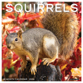 Willow Creek Press - 2026 Squirrels Calendar