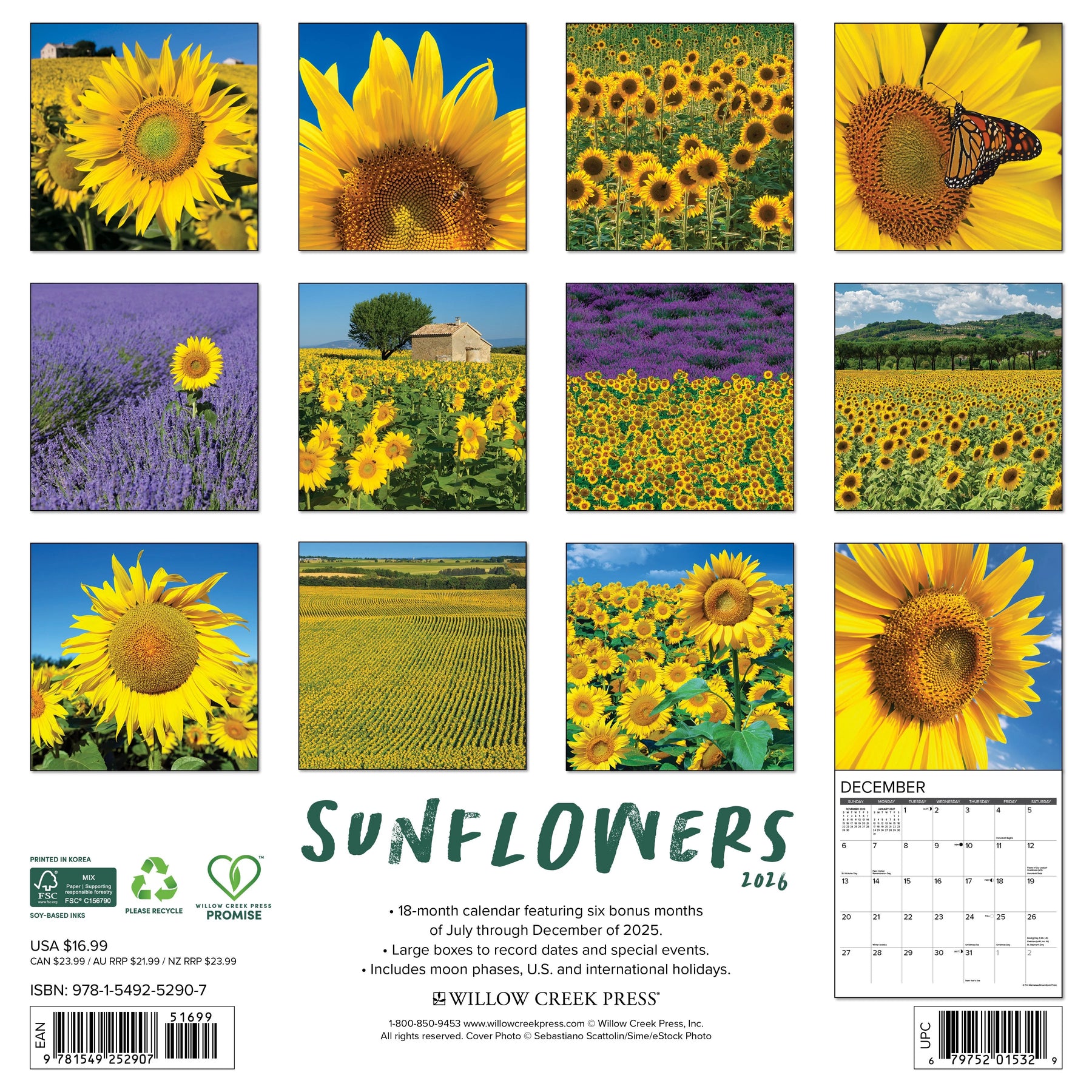 Willow Creek Press - 2026 Sunflowers Calendar