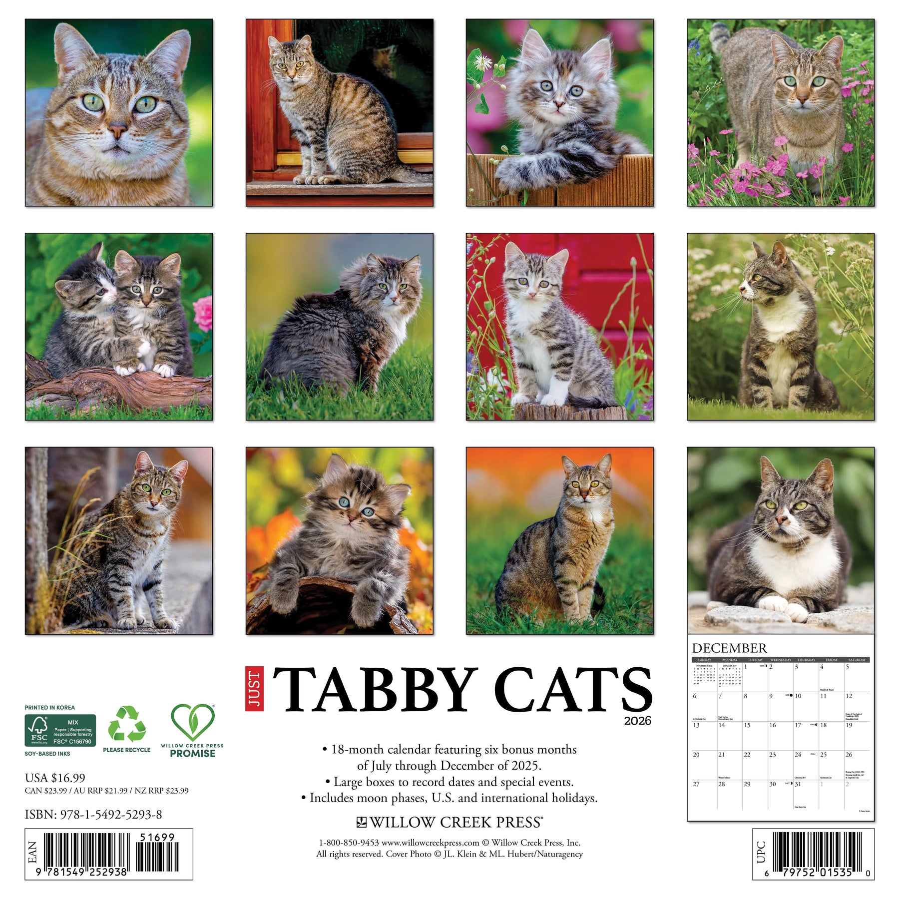 Willow Creek Press - 2026 Tabby Cats Calendar