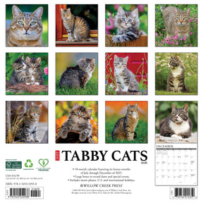Willow Creek Press - 2026 Tabby Cats Calendar