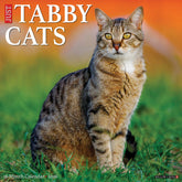 Willow Creek Press - 2026 Tabby Cats Calendar