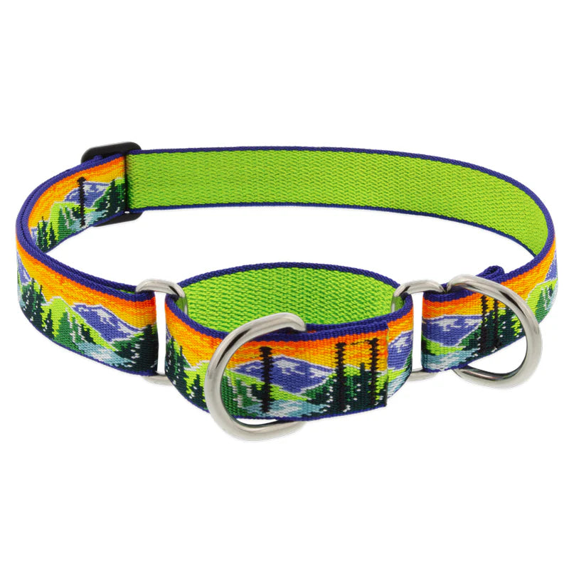 Lupine Pet - Choke Collar Nylon Adjustable High Country