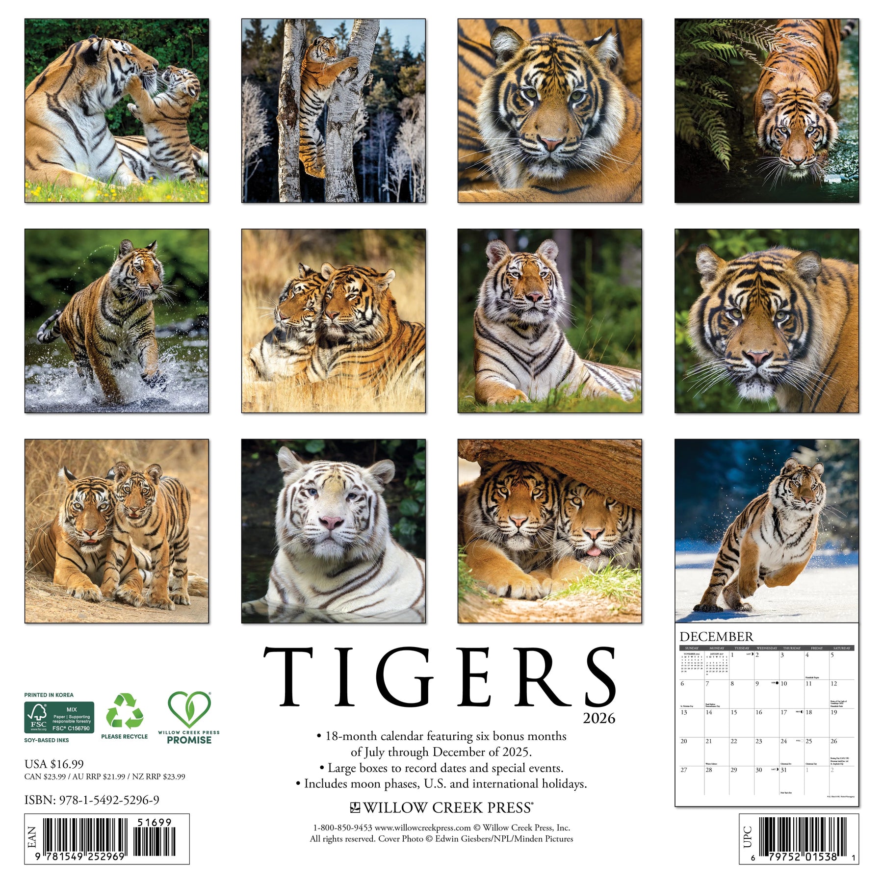 Willow Creek Press - 2026 Tigers Calendar