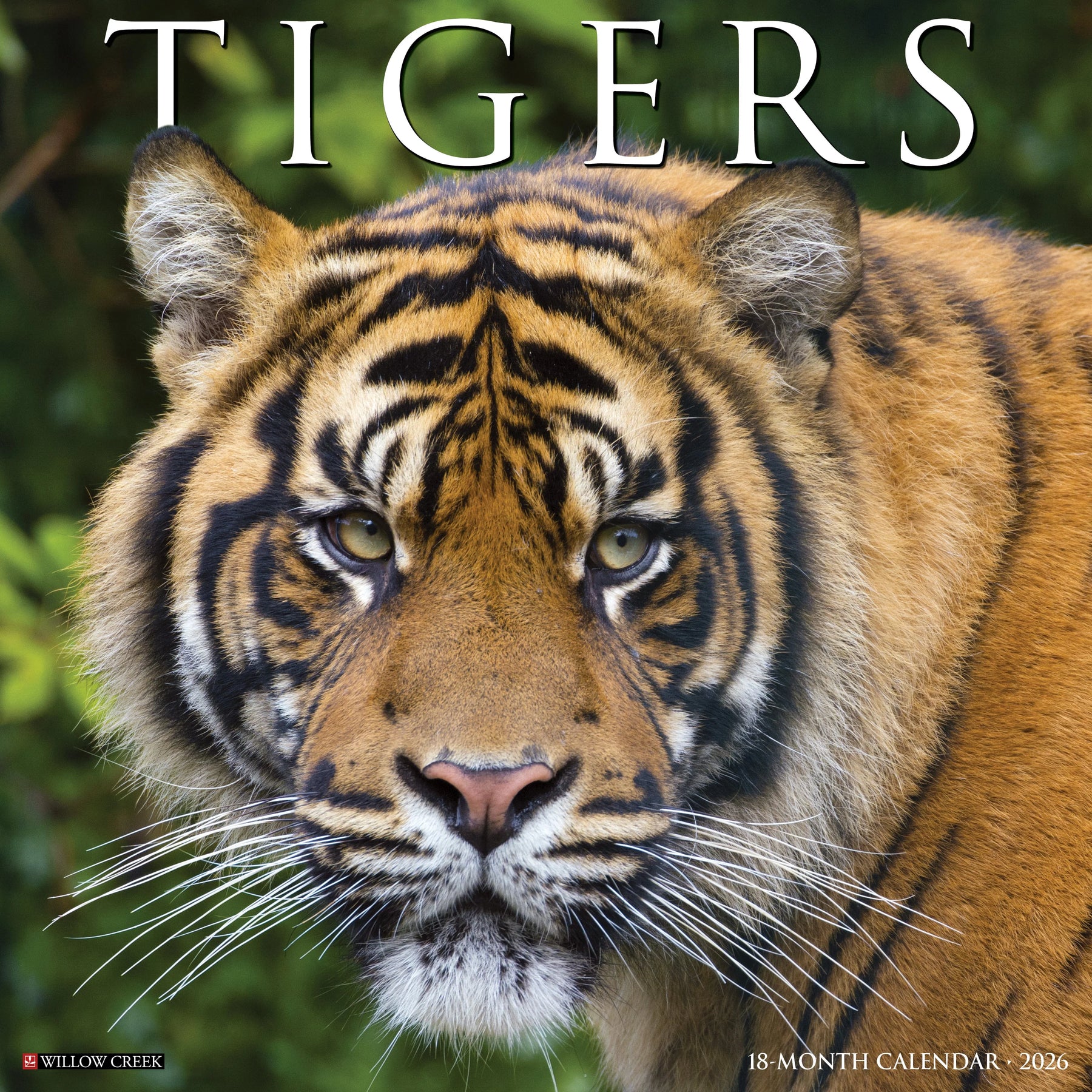 Willow Creek Press - 2026 Tigers Calendar