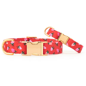 Dog Collar Berry Sweet