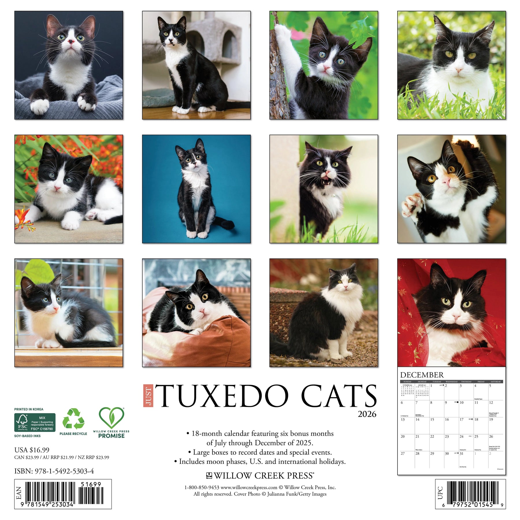 Willow Creek Press - 2026 Tuxedo Cats Calendar