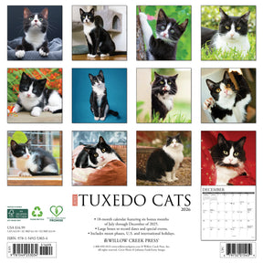 Willow Creek Press - 2026 Tuxedo Cats Calendar
