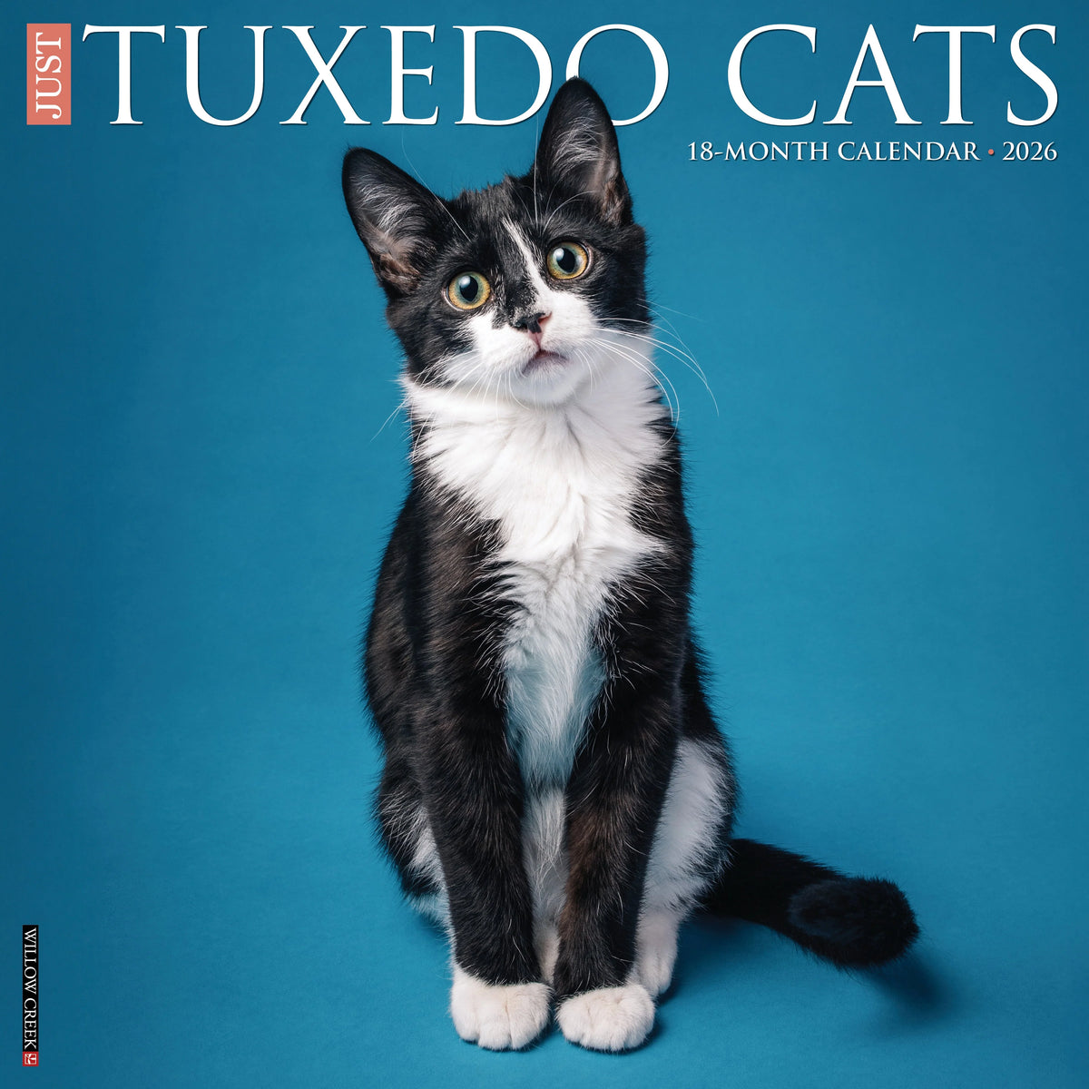 Willow Creek Press - 2026 Tuxedo Cats Calendar