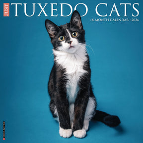 Willow Creek Press - 2026 Tuxedo Cats Calendar