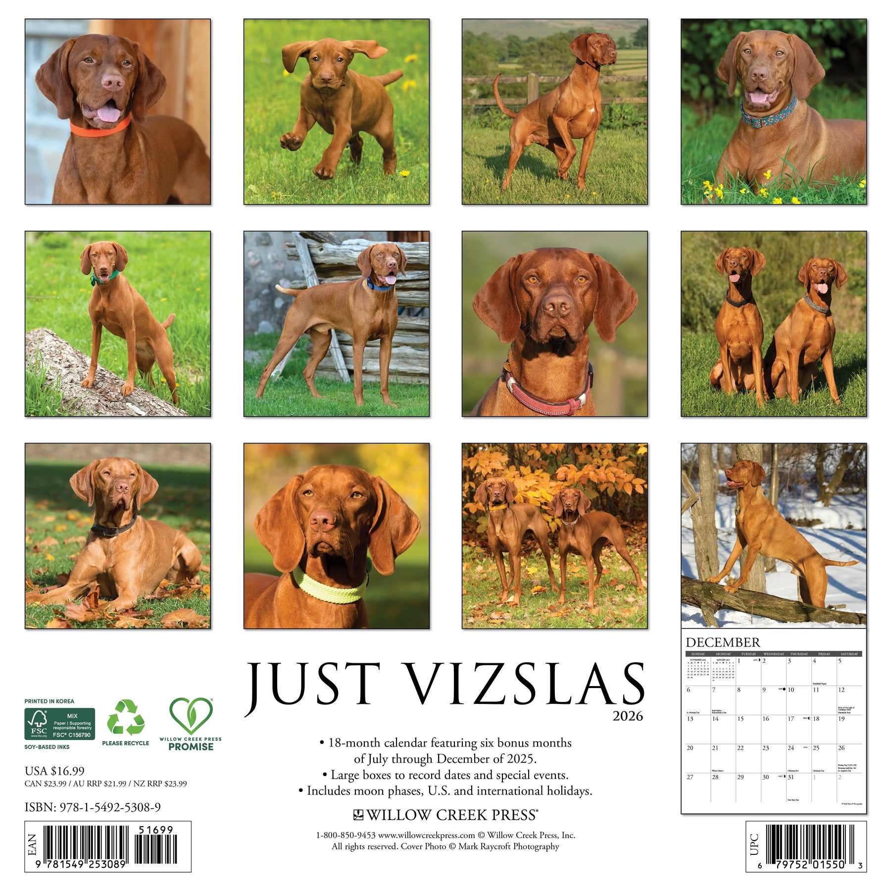 Willow Creek Press - 2026 Vizslas Calendar