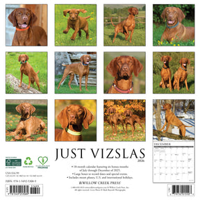 Willow Creek Press - 2026 Vizslas Calendar