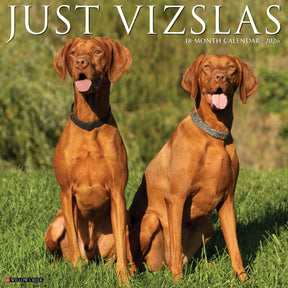 Willow Creek Press - 2026 Vizslas Calendar