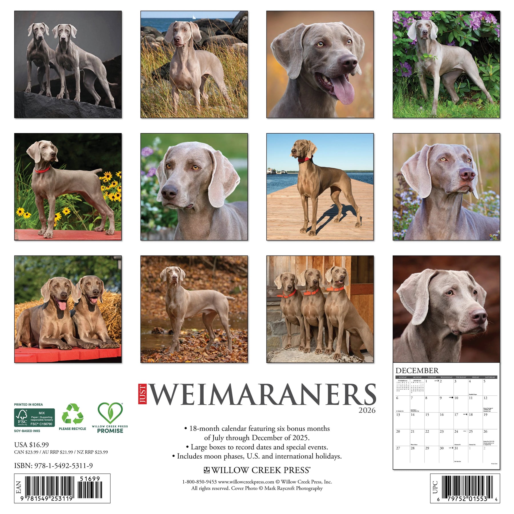 Willow Creek Press - 2026 Weimaraners Calendar