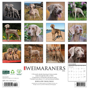 Willow Creek Press - 2026 Weimaraners Calendar
