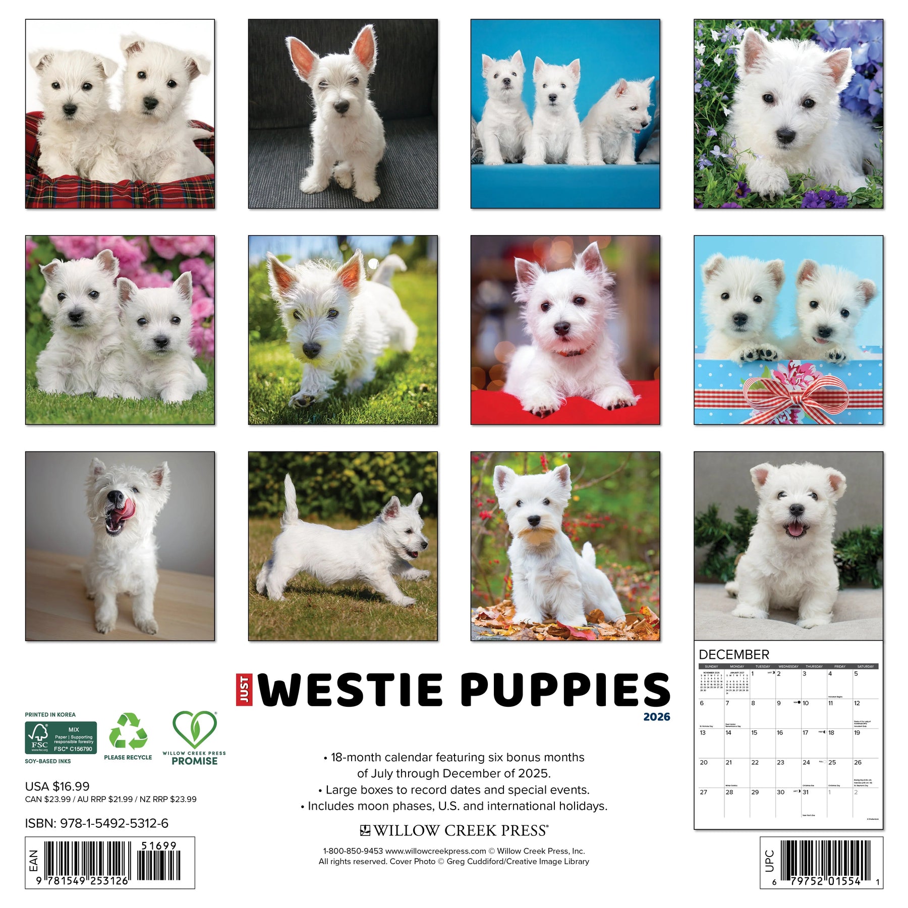 Willow Creek Press - 2026 Westie Puppies Calendar