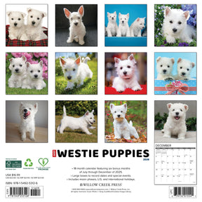 Willow Creek Press - 2026 Westie Puppies Calendar