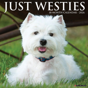 Willow Creek Press - 2026 Westies Calendar