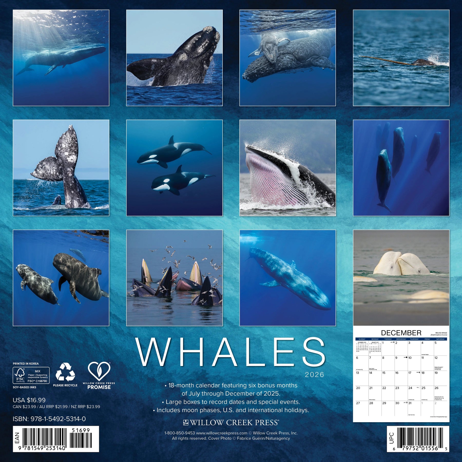 Willow Creek Press - 2026 Whales Calendar