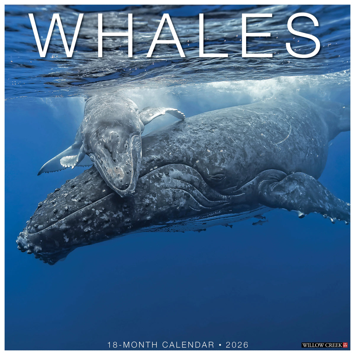 Willow Creek Press - 2026 Whales Calendar