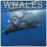 Willow Creek Press - 2026 Whales Calendar