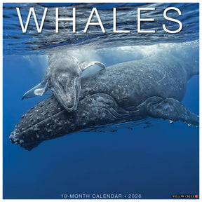 Willow Creek Press - 2026 Whales Calendar