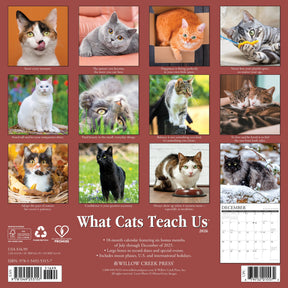 Willow Creek Press - 2026 What Cats Teach Us Calendar